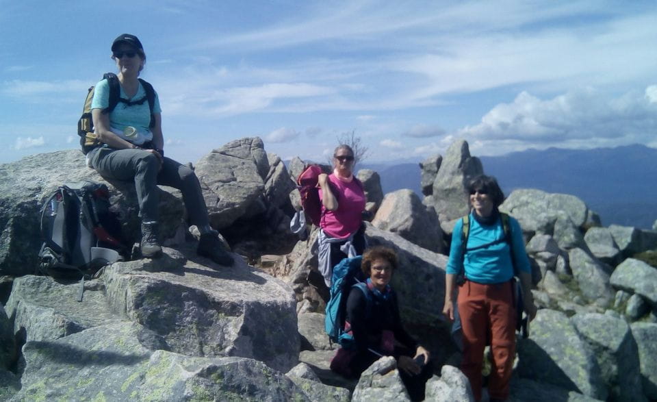 FOREST Hospital: Panoramic Summit With Sea and Lake View - Meeting Point and Drop-off Locations