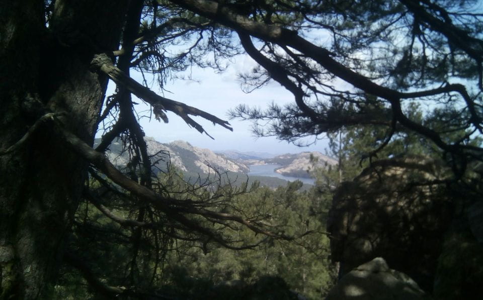 FOREST Hospital: Panoramic Summit With Sea and Lake View - Exploring the Ospedale Forest