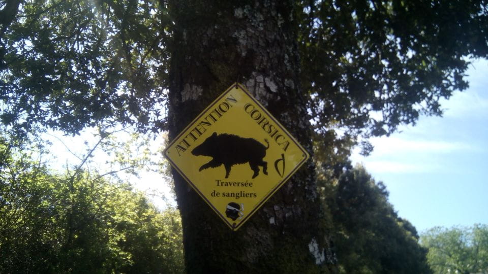 FOREST Hospital: Panoramic Summit With Sea and Lake View - Viewing the Ortolo and Ospedale Lakes