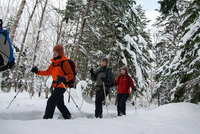 Forest Snowshoeing in White Birch and Blue River Course - Key Points