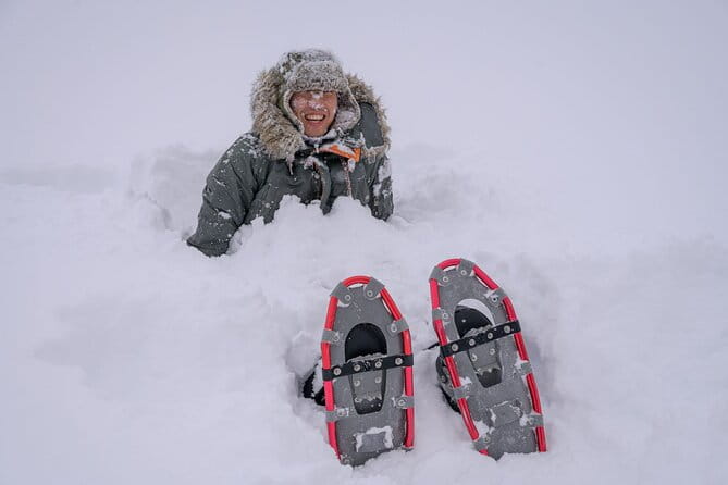 Forest Snowshoeing in White Birch and Blue River Course - Highlights of the White Birch and Blue River Course