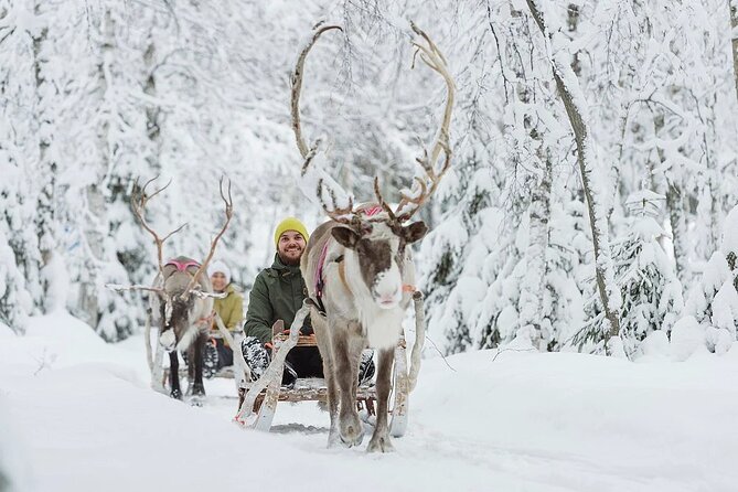 Forest Trail Reindeer Safari - Pickup and Meeting Details