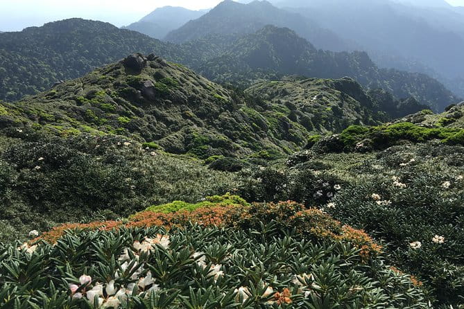 Forest Walk - What to Expect on the Tour