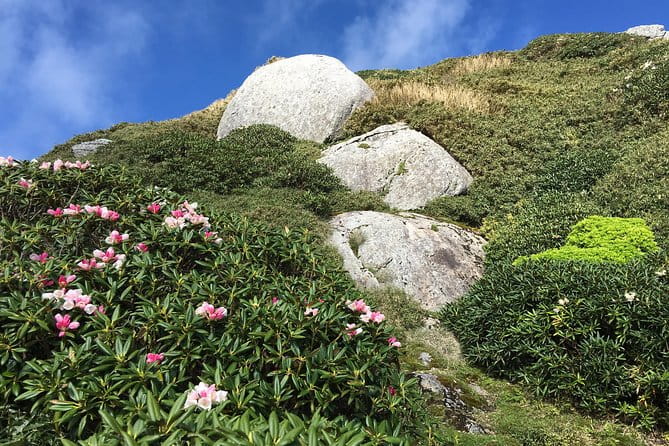Forest Walk - Preparing for the Tour