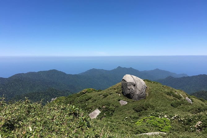 Forest Walk - Participation Information