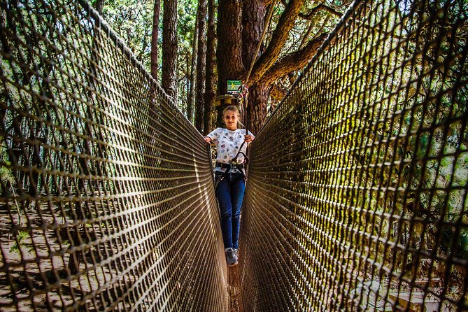 Forestal Park Tenerife Entrance Ticket - Weather Conditions and Operations