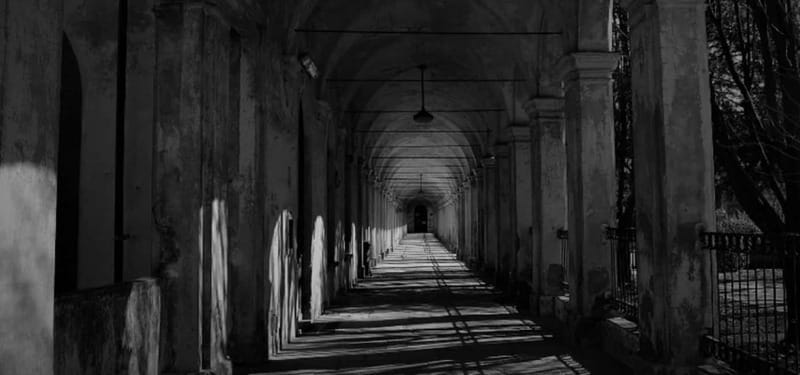 Forgotten Souls: The Collegno Asylum and Its Secrets - Key Points / Takeaways