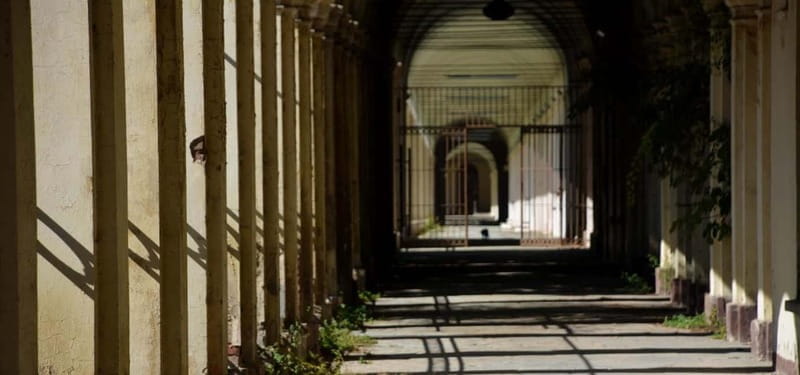 Forgotten Souls: The Collegno Asylum and Its Secrets - Price & Logistics: Is It Good Value?