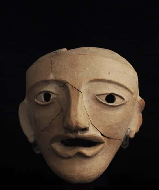 Forli: Guided tour of the exhibition "The Artist's Portrait." - Who Should Book This Tour?