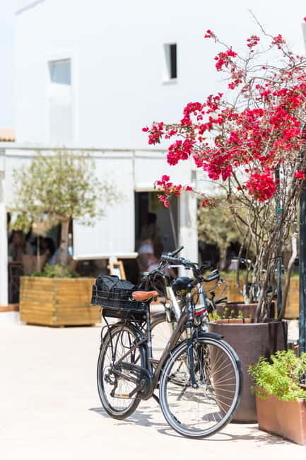 Formentera: discover our fast ferry + bike package - Who Should Consider This Tour?