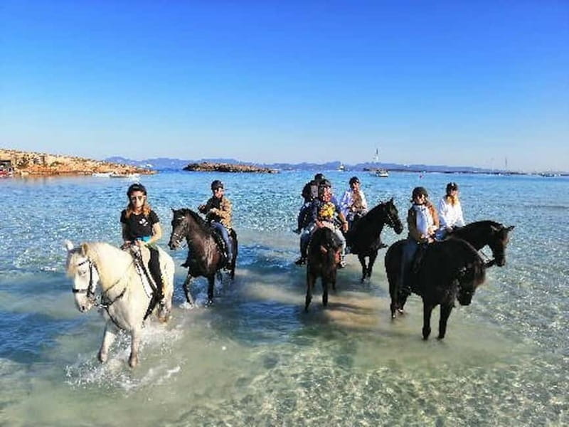 Formentera: Private Horseback Ride with Pick-up on Beach - Discovering Formentera on Horseback: A Quiet Escape