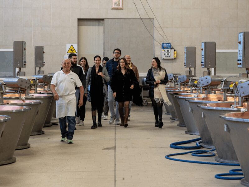 Formigine: Parmesan Factory Tasting and Tour near Modena - Key Points / Takeaways