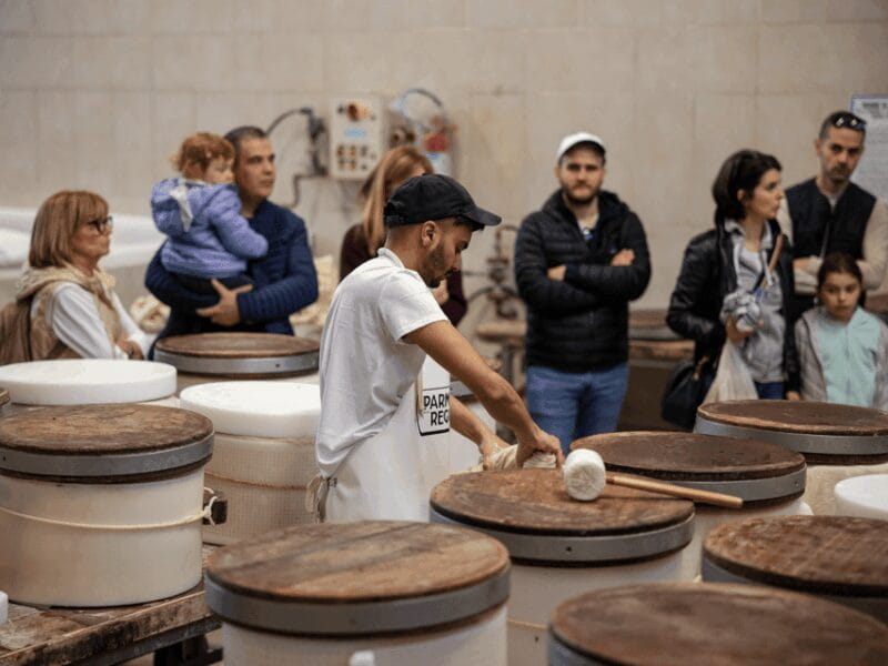 Formigine: Parmesan Factory Tasting and Tour near Modena - Behind the Scenes in the Salting and Aging Rooms