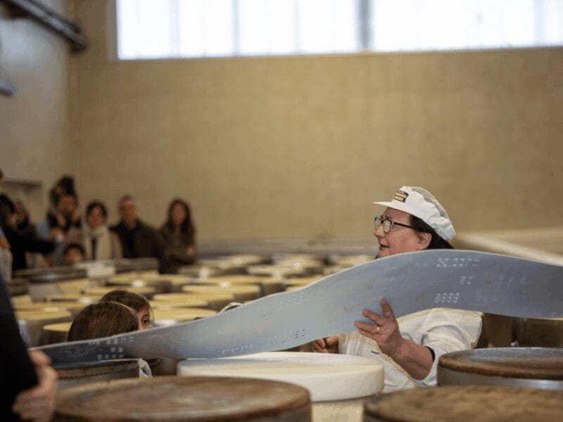 Formigine: Parmesan Factory Tasting and Tour near Modena - The Tasting: A Symphony of Flavors