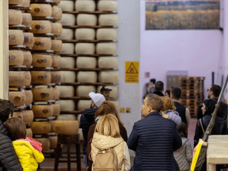 Formigine: Parmesan Factory Tasting and Tour near Modena - Logistics and Practical Tips
