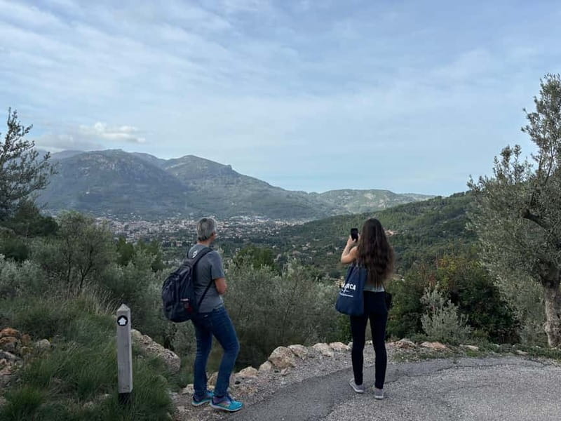 Fornalutx - hiking to the olive farm & oil tasting - Discovering Fornalutx: The Charm of Spains Most Beautiful Village