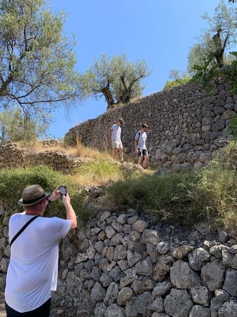 Fornalutx - hiking to the olive farm & oil tasting - Price and Logistics: What You Need to Know