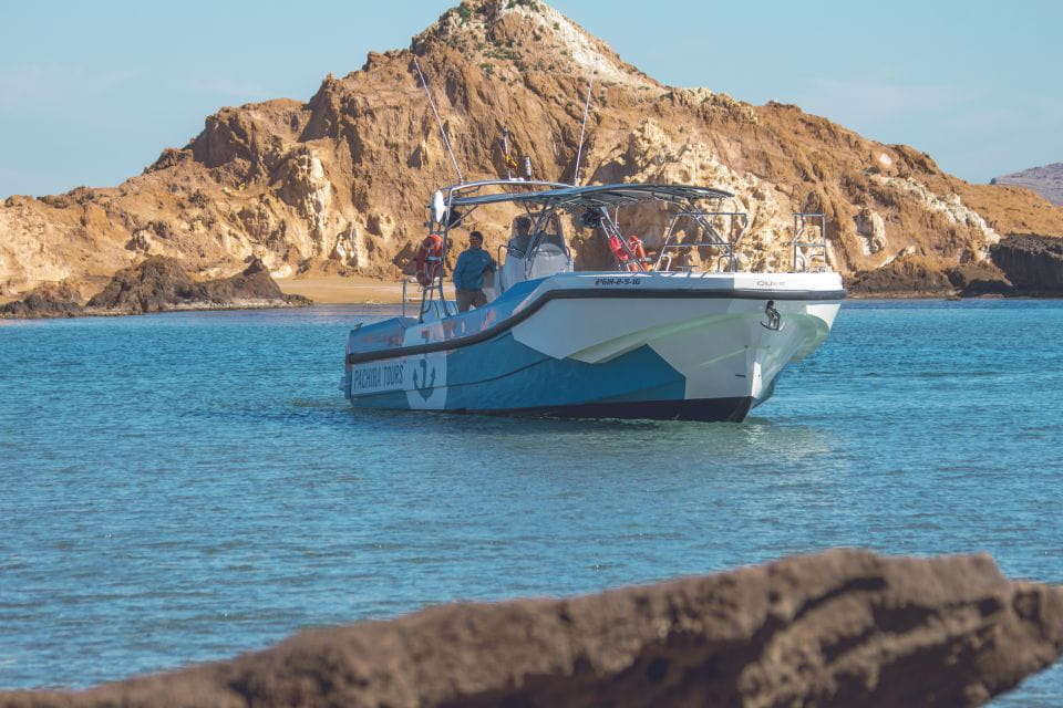 Fornells: 3-Hour Boat Tour Along Menorcan Coast - Onboard Amenities
