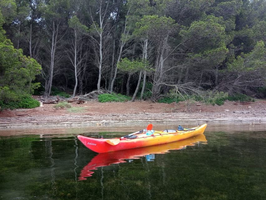 Fornells Bay: Sunset Kayak Tour From Ses Salines, Menorca. - Key Points
