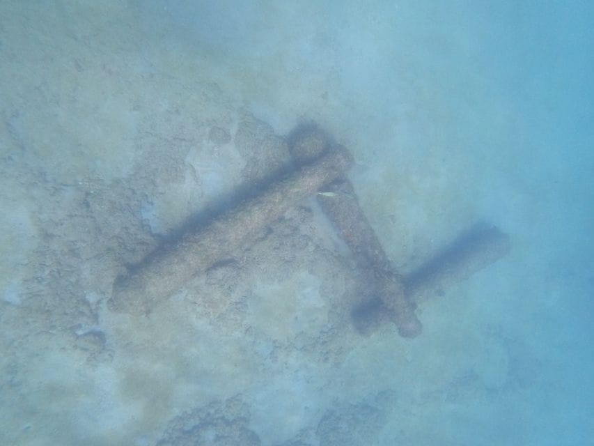 Fort Lauderdale: Guided Snorkeling Reef Tour and Lesson - Location and Marine Life