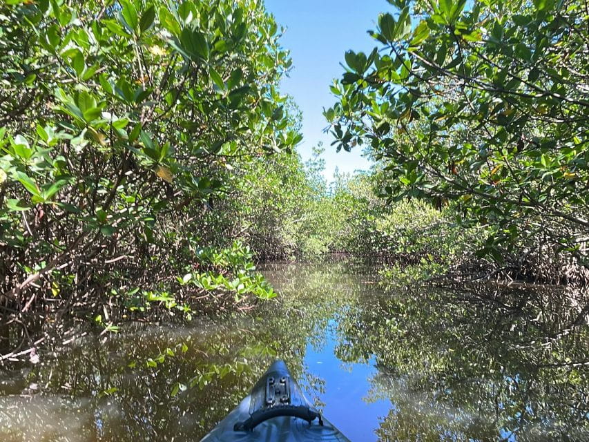 Fort Pierce: 4-hr Mangroves & Dolphin Watch Sandbar in FL - Equipment and Accessibility