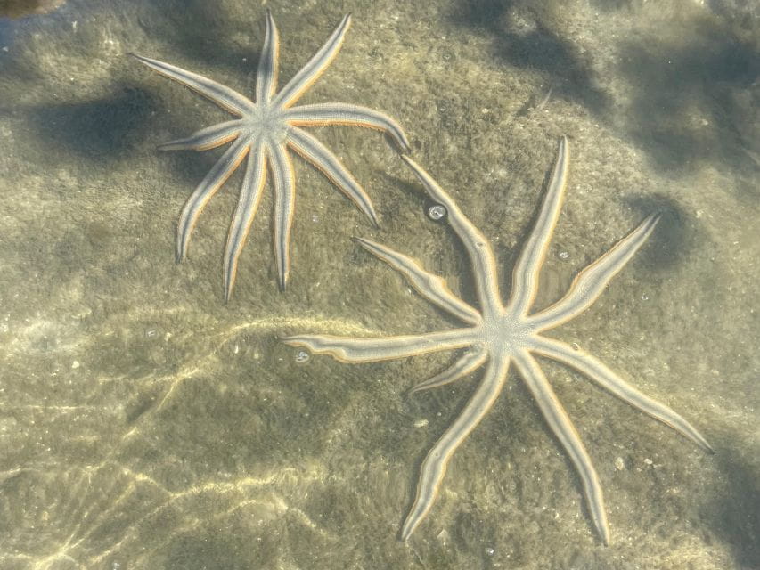 Fort Pierce: 8-Hr Jungle and Lagoon Passage to Ocean in FL - Equipment and Accessibility