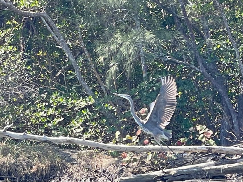 Fort Pierce: 8-Hr Jungle and Lagoon Passage to Ocean in FL - Swim at Ocean Inlet (Conditions Permitting)