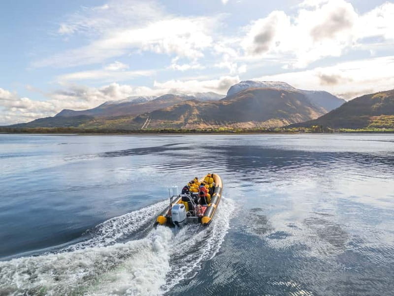 Fort William: 1hr Loch Safari Speedboat Tour - Wildlife Sightings and Scenic Views