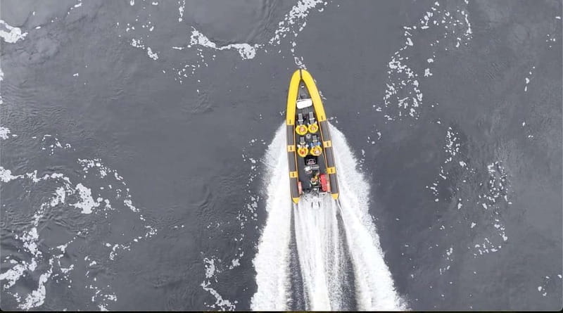 Fort William: 1hr Loch Safari Speedboat Tour - The Thrill of the Ride