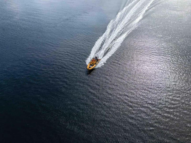 Fort William: 1hr Loch Safari Speedboat Tour - Returning and Post-Trip Reflections