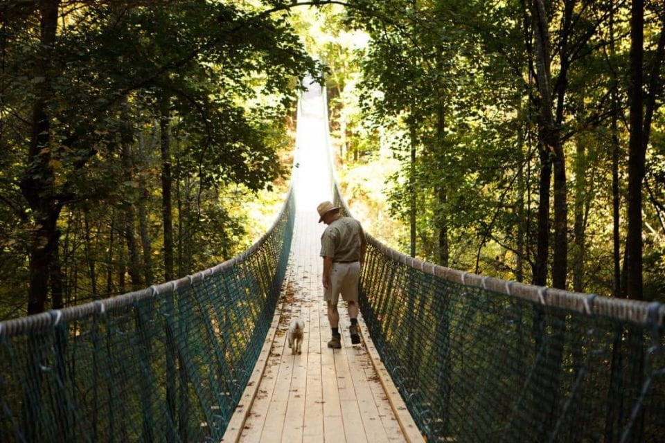 Foxfire Mountain: Hiking & Swinging Bridge Family Adventure - Key Points