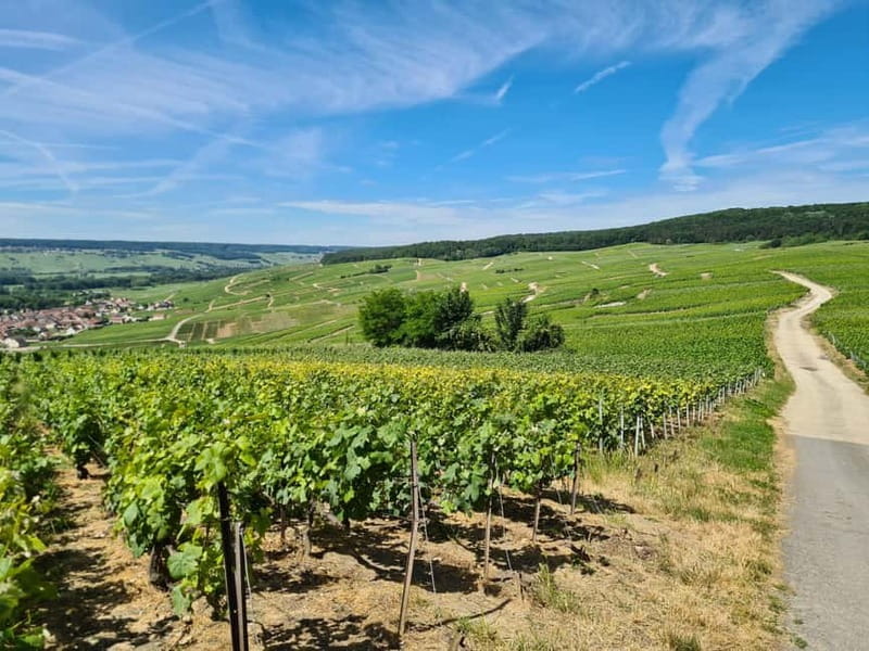 France: Private Wine Tasting Tour with Chauffeur from Paris - Key points / Takeaways