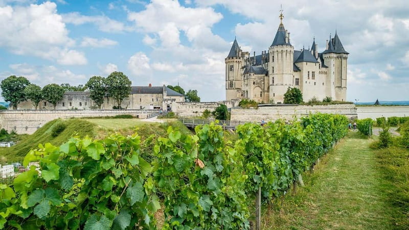 France: Private Wine Tasting Tour with Chauffeur from Paris - Experiencing France’s Champagne Region in Style