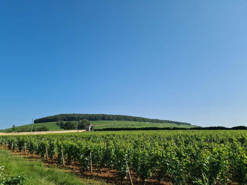 France: Private Wine Tasting Tour with Chauffeur from Paris - Final Thoughts