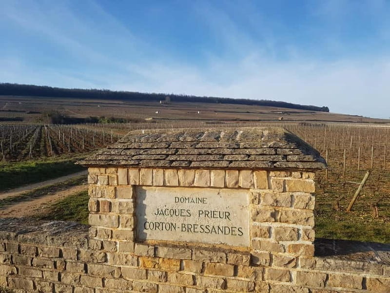 France: Private Wine Tasting Tour with Chauffeur from Paris - Frequently Asked Questions