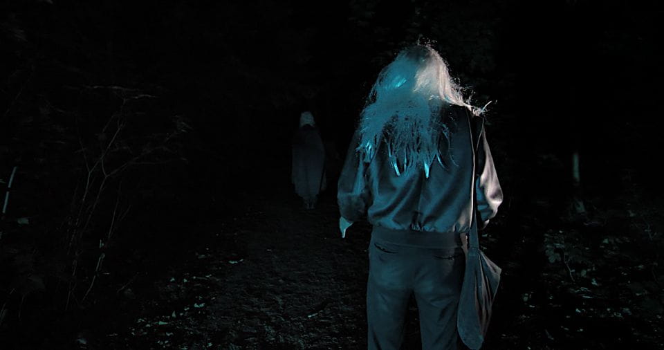 Frankfurt: The Hour of the Vampires Scary Tour - Frequently Asked Questions