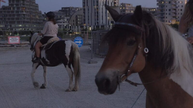 Frankfurter Kunstverein: Admission ticket - Key Points / Takeaways