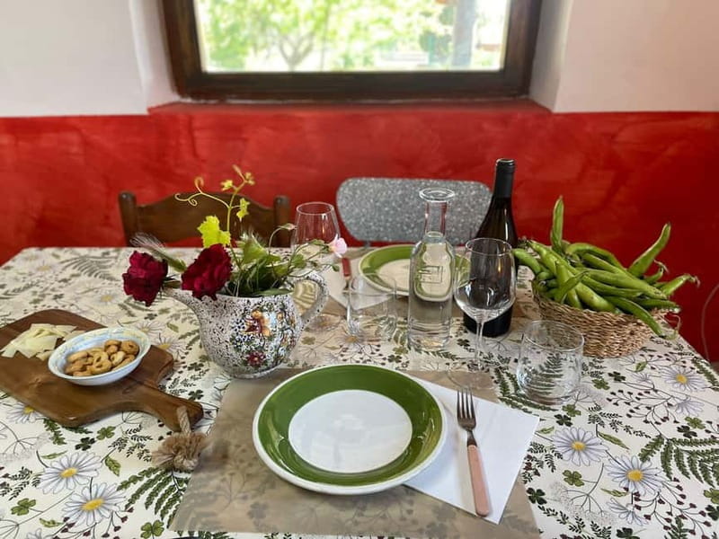 Frascati: Vineyard Wine Tasting Tour with Snacks - Key Points / Takeaways