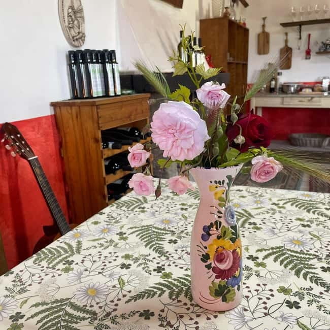 Frascati: Vineyard Wine Tasting Tour with Snacks - Practical Details and Tips for the Tour