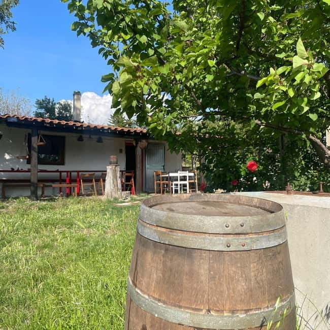 Frascati: Vineyard Wine Tasting Tour with Snacks - Final Thoughts: Is it Worth It?