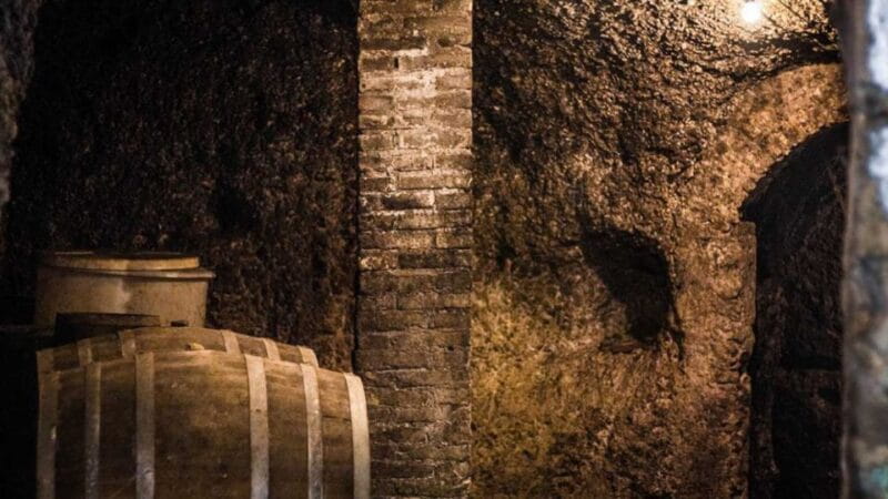 Frascati Wine Road from Rome: Tasting & Lunch - The Sum Up