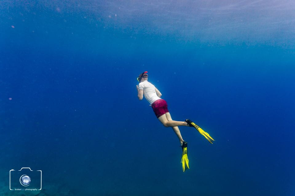 Free Diving and Snorkeling Experience Turtle Beach - Pricing and Duration
