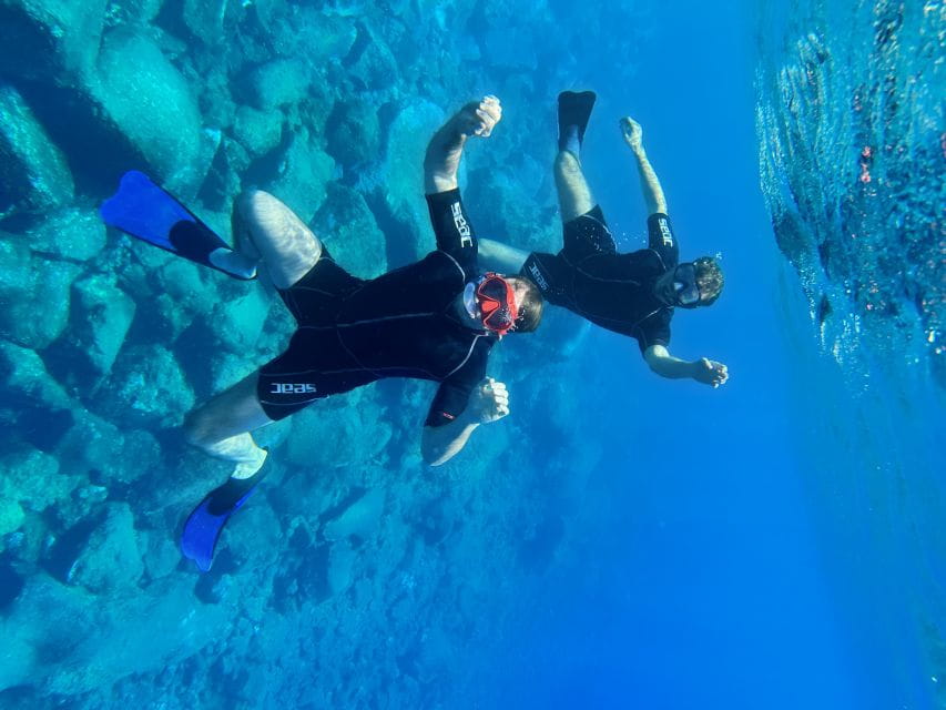 Free Diving and Snorkeling Experience Turtle Beach - Training and Techniques