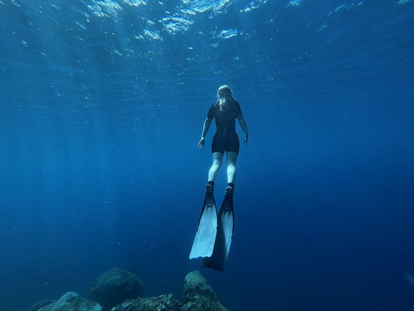 Free Diving and Snorkeling Experience Turtle Beach - Underwater Exploration