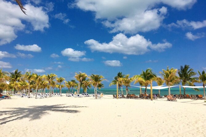 Freeport Shore Excursion: All-Inclusive Viva Wyndham Fortuna Beach Resort Pass - Overview and Highlights