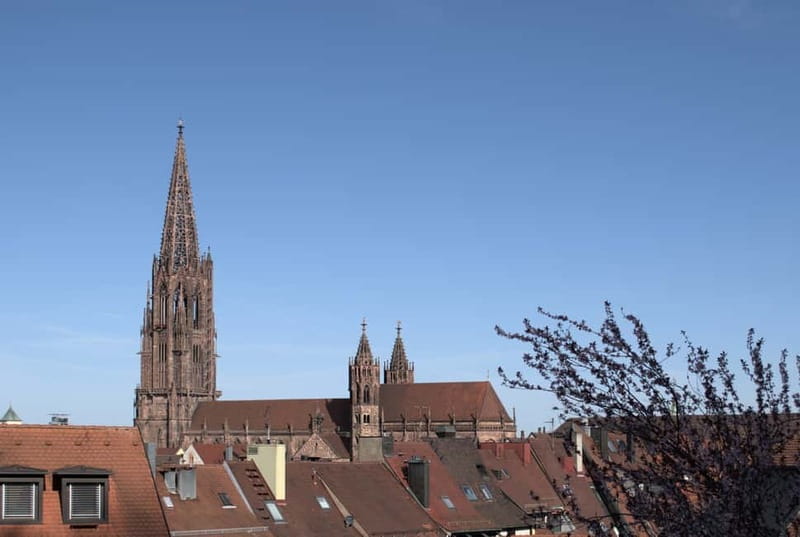 Freiburg City Tour: with visit of the Freiburg Minster - Price and Logistics