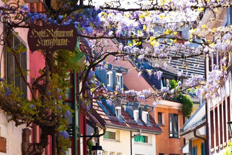 Freiburg: Gässle, Bächle and More City Tour - Exploring Freiburg’s Old Town: What to Expect