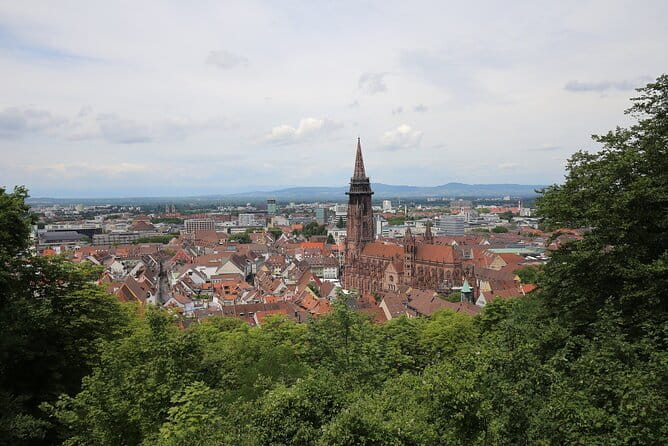 Freiburg - Historic walking tour - Who This Tour Suits Best