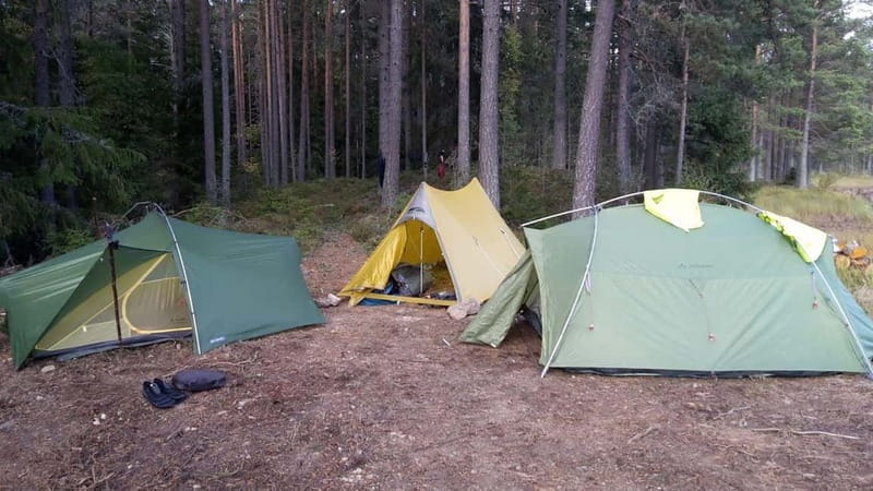 Freiburg im Breisgau: Hero's Journey Private Nature Day Trip - Who Will Love This Experience?