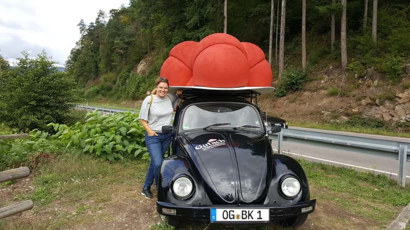 Freiburg: Private Black Forest Tour by car - The Detailed Itinerary: What to Expect